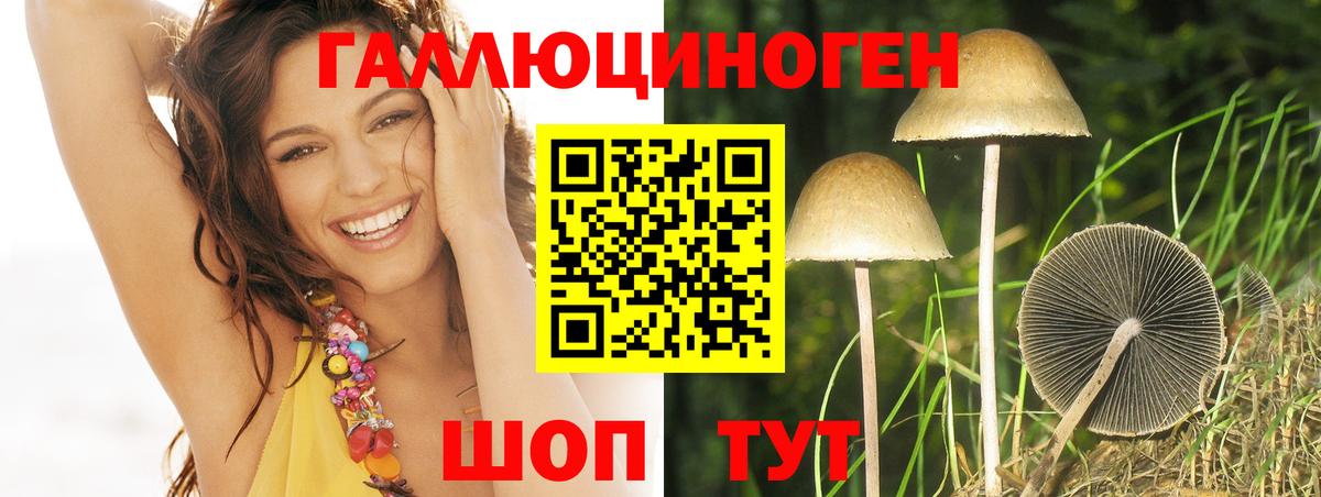 Псилоцибиновые грибы Magic Shrooms  купить закладку  Лангепас  Вход с VPN 